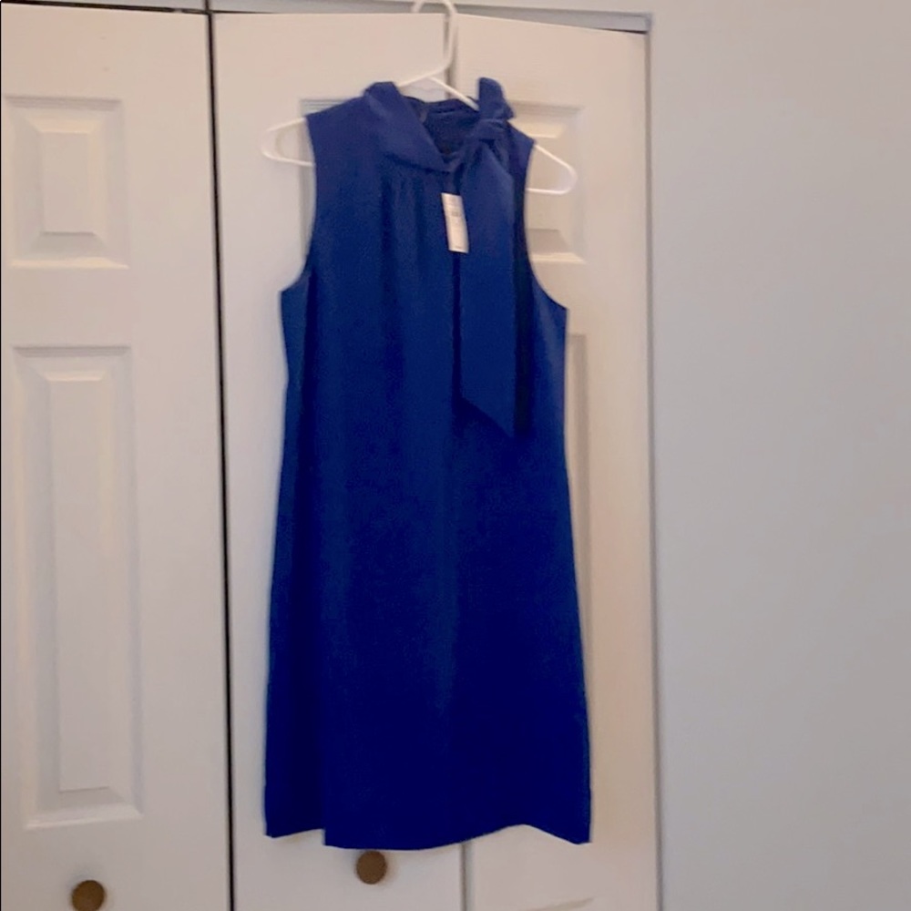 Ann Taylor Factory Sleeveless Dress